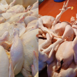 Lelaki Kongsi Rahsia Ibu Pilih Ayam Segar, Jangan Main Ambil Saja!