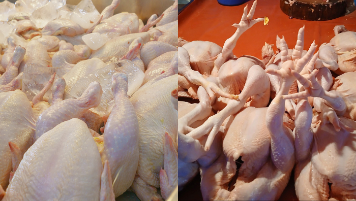 ayam segar