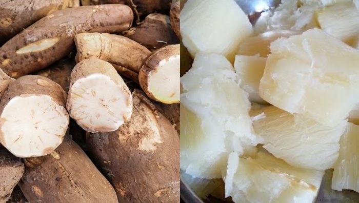 cara pilih ubi kayu