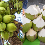 Harga Kelapa & Santan Dijangka Naik Pada Bulan Puasa, Ramai Risau Harga Kuih Mahal!
