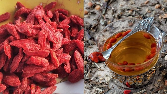 khasiat buah goji