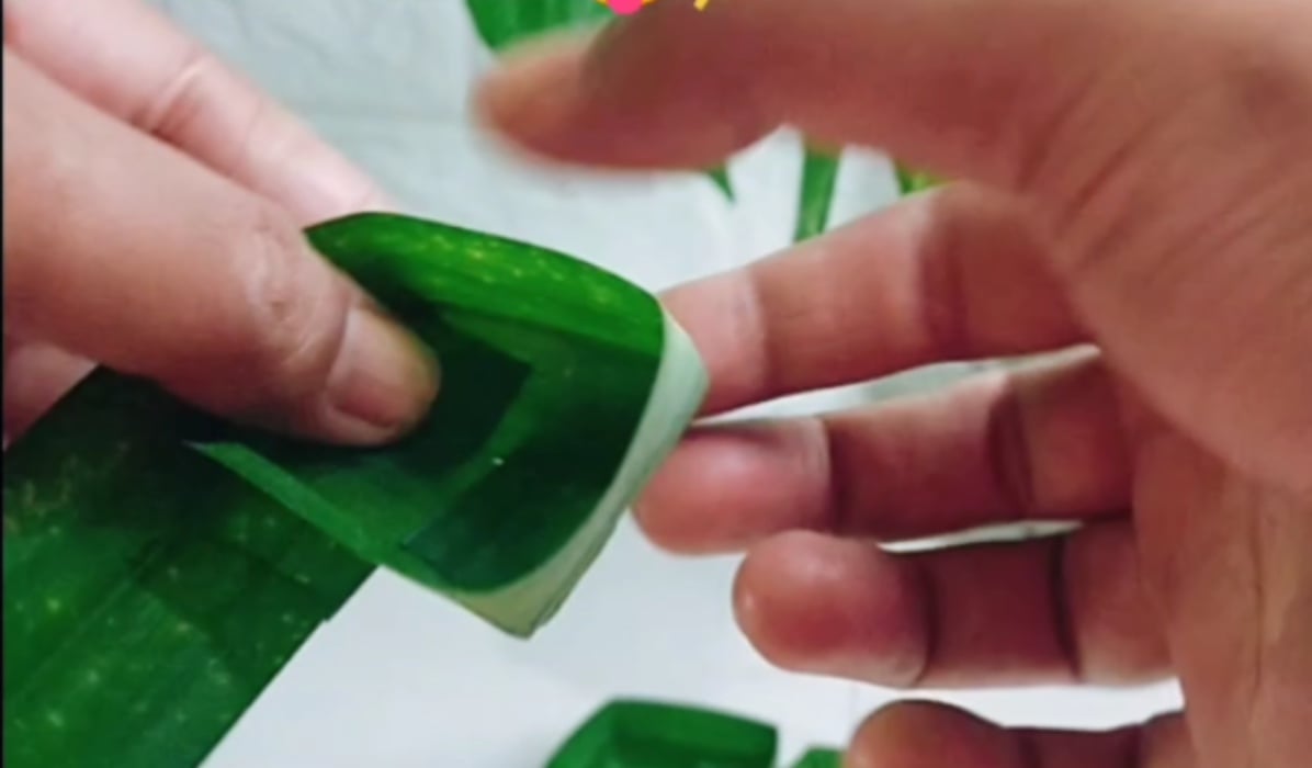 acuan tepung pelita