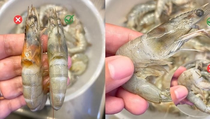 cara pilih udang segar