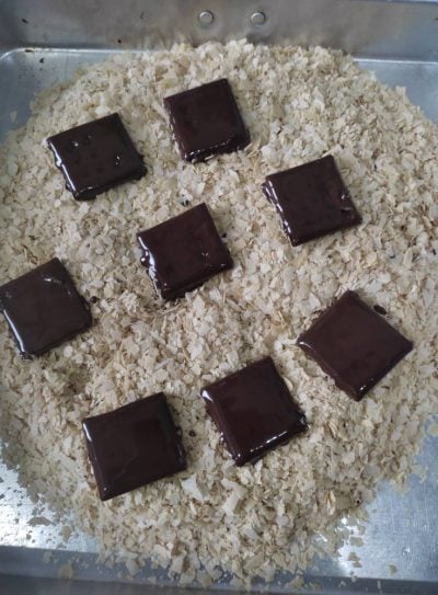 biskut cracker