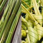 Cara Simpan Daun Palas Supaya Tahan Lama, Tetap Segar Walau Berbulan!