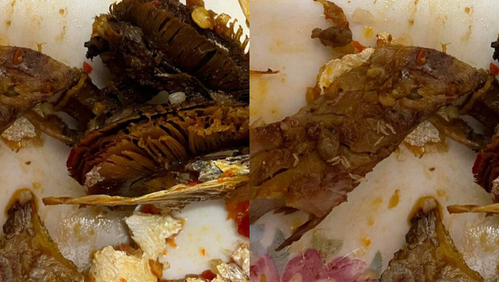 ikan cencaru berlada