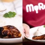 Nasi Ayam Sedap Simple, Cara Masak Mudah Tapi Confirm Hasil Menjadi