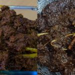 Resepi Rendang Tok Perak Asli, Sedap Sampai Mak Mentua Puji Melambung!