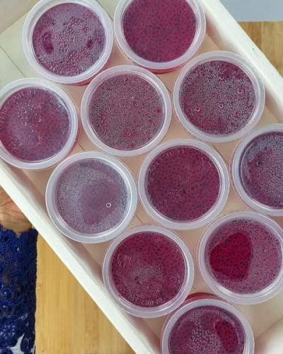 agar agar sirap selasih