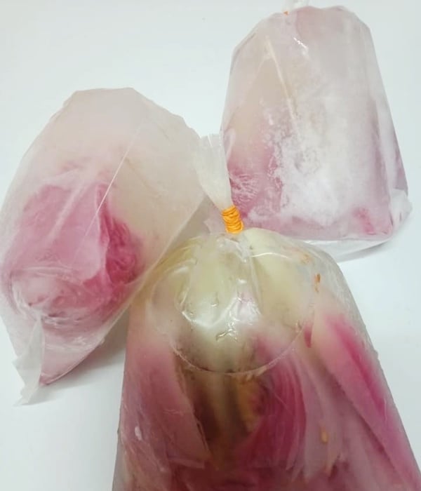 cara menyimpan bunga kantan