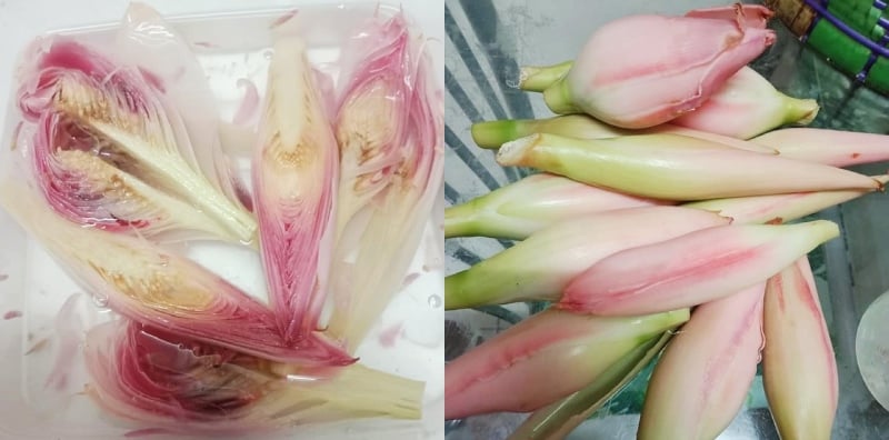 cara menyimpan bunga kantan