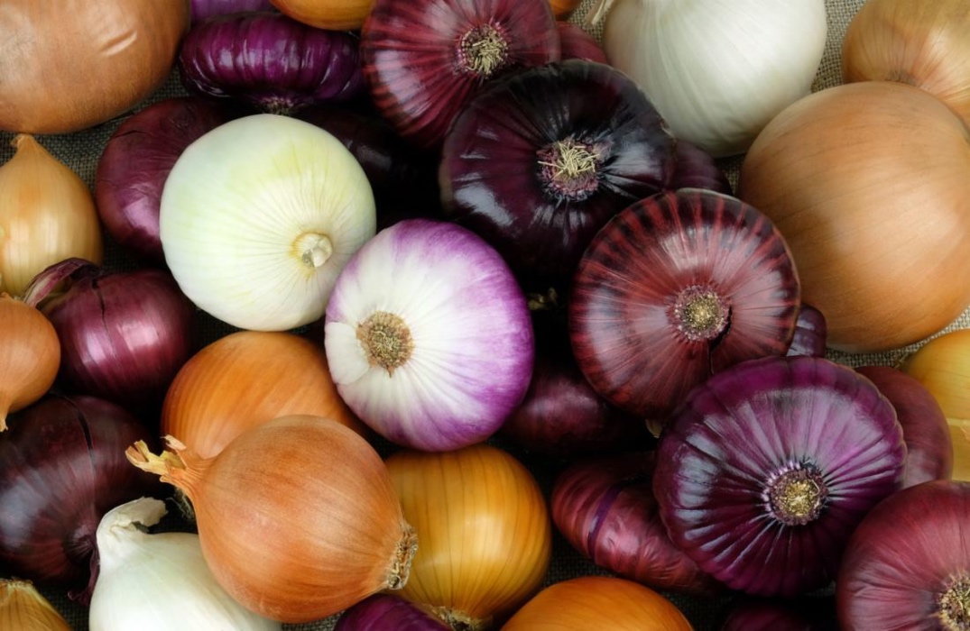 cara simpan bawang