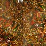 Mee Goreng Basah Sedap Rasa Meletup, Memang Tak Cukup Sepinggan!