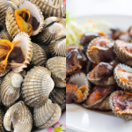 Petua Isi Kerang ‘Frozen’ Kembali Segar, Rasa Macam Baru Beli Dari Pasar!