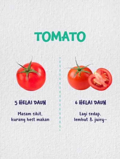 senarai barang dapur