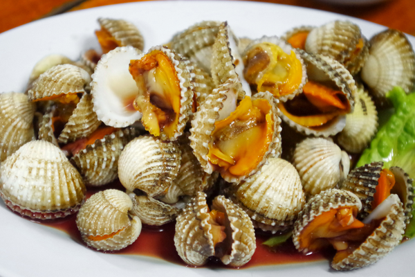 kulit kerang
