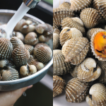 Cara Mudah Cuci Kerang Sampai Jadi Putih, Tak Perlu Sental Lama-Lama Pun!