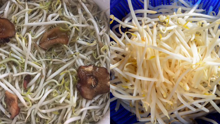 sayur tauge