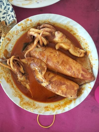 resepi kari sotong