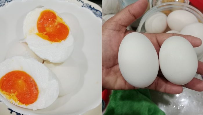 resepi telur masin