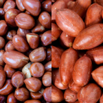 Tip Mudah Hilangkan Bau Tengik Pada Kacang Tanah, Ikut 5 Langkah Mudah Ini!
