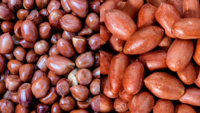 kacang tanah bau tengik