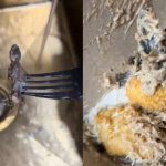Wanita Terkejut Jumpa Bangkai Cicak Dalam Pisang Goreng Tiramisu, Netizen Minta Dedah Lokasi Kedai