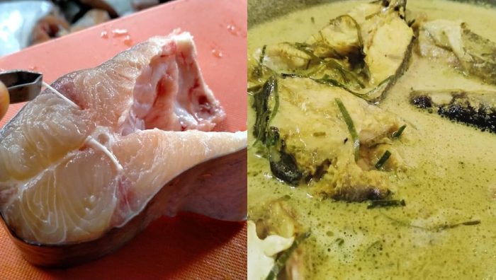 buang hanyir ikan patin
