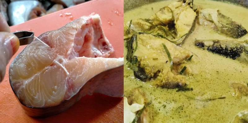 buang hanyir ikan patin