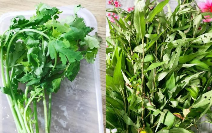 cara simpan daun masakan