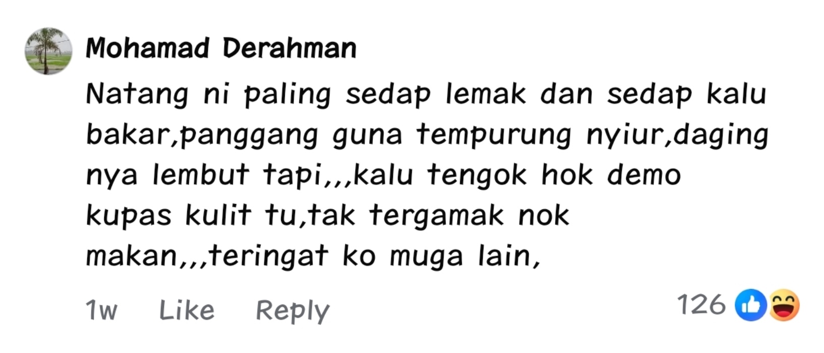 daging landak untuk dijual