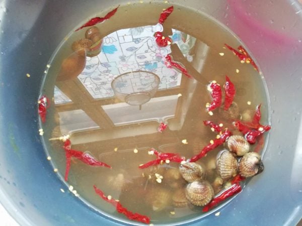 petua cuci kerang