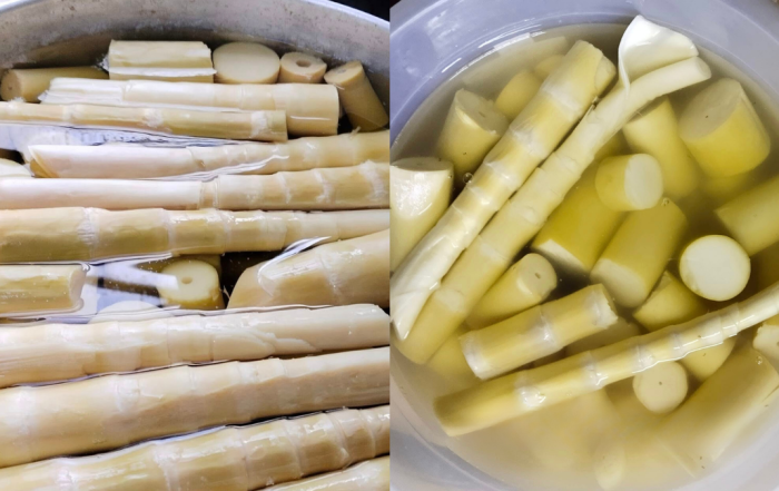 petua simpan rebung