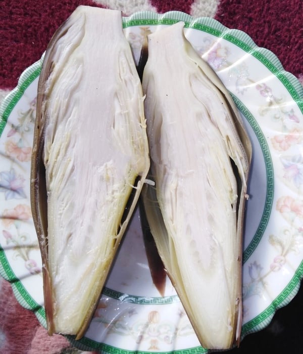 rebus jantung pisang