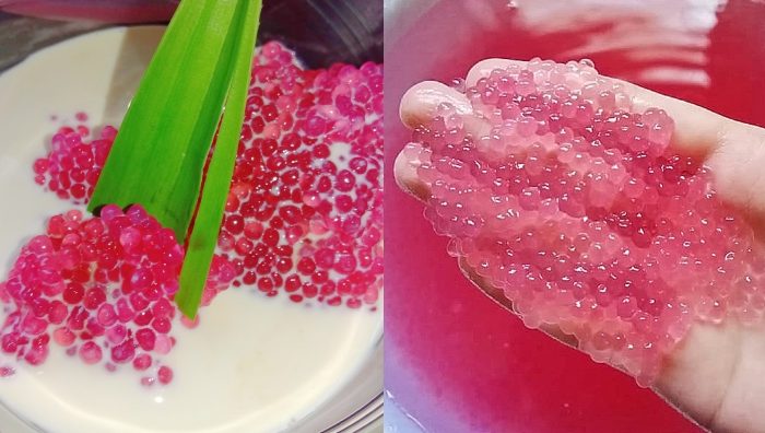 tips masak sagu