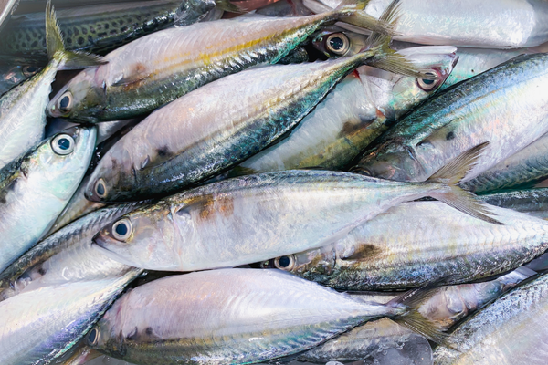 cara hilangkan hanyir ikan