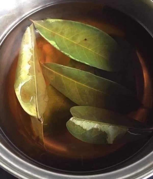 air daun durian belanda