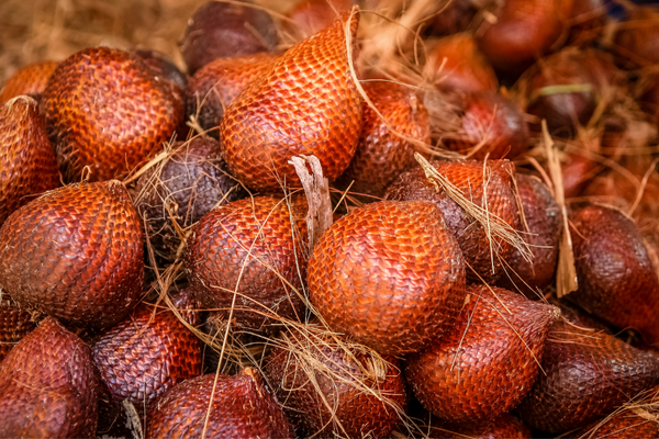 buah salak