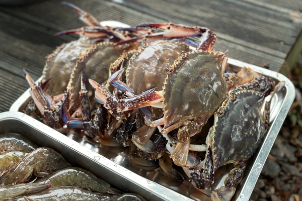 cara simpan ketam