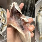 Tutorial Menyiang Ikan Cara ‘Newbie’, Sesuai Untuk Orang Yang Baru Masuk Dapur\!