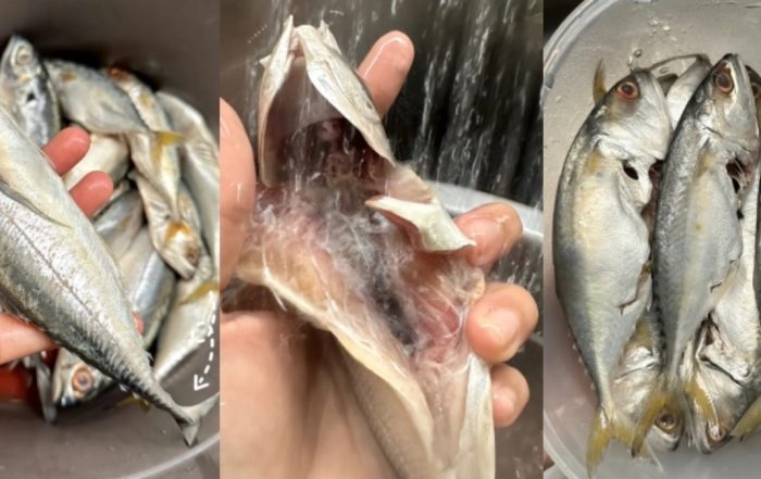 menyiang ikan
