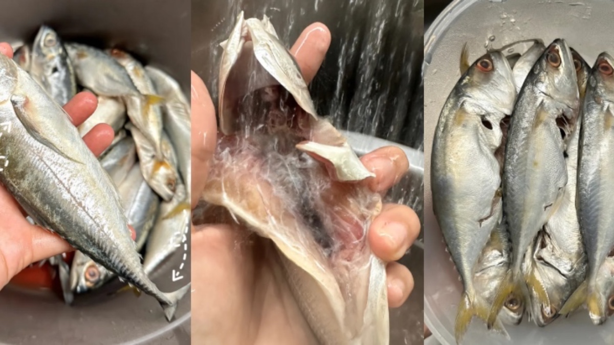 menyiang ikan