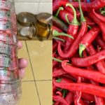 Tips Simpan Cili Dalam Botol Yang Tak Ramai Tahu, 8 Bulan Pun Masih Segar Lagi!