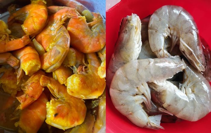 petua udang tak kecut