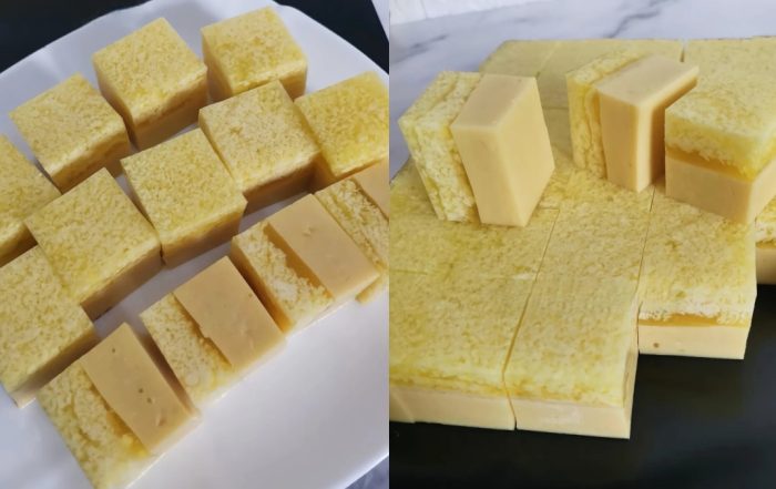 puding santan durian
