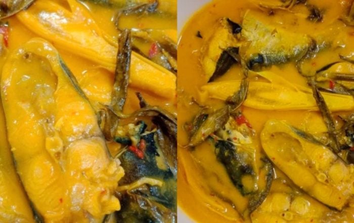 resepi ikan patin tempoyak