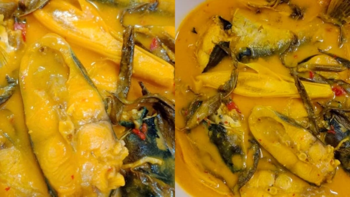 resepi ikan patin tempoyak