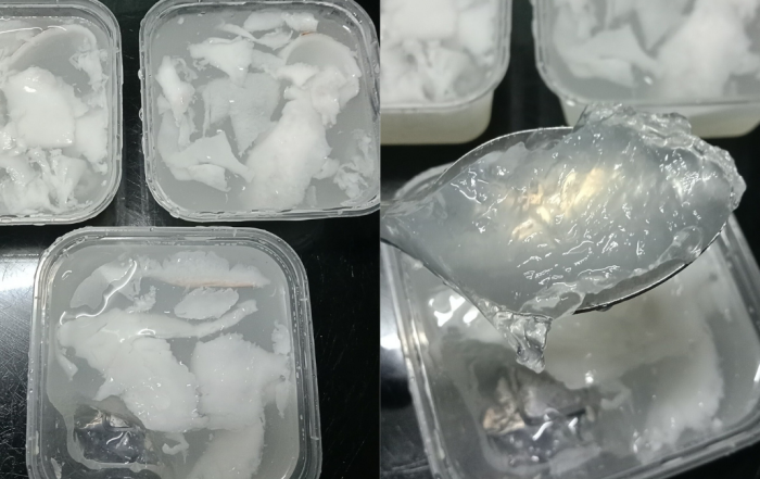 jelly kelapa