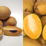 Cara Pilih Buah Ciku Yang Betul-Betul Manis, Baru Tak Kelat & Berbiji Keras!