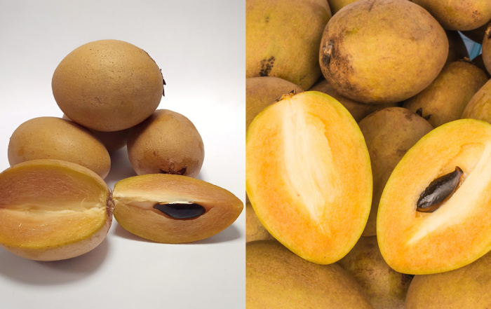 buah ciku